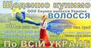 Купуємо волосся у Львові (Висока ціна)